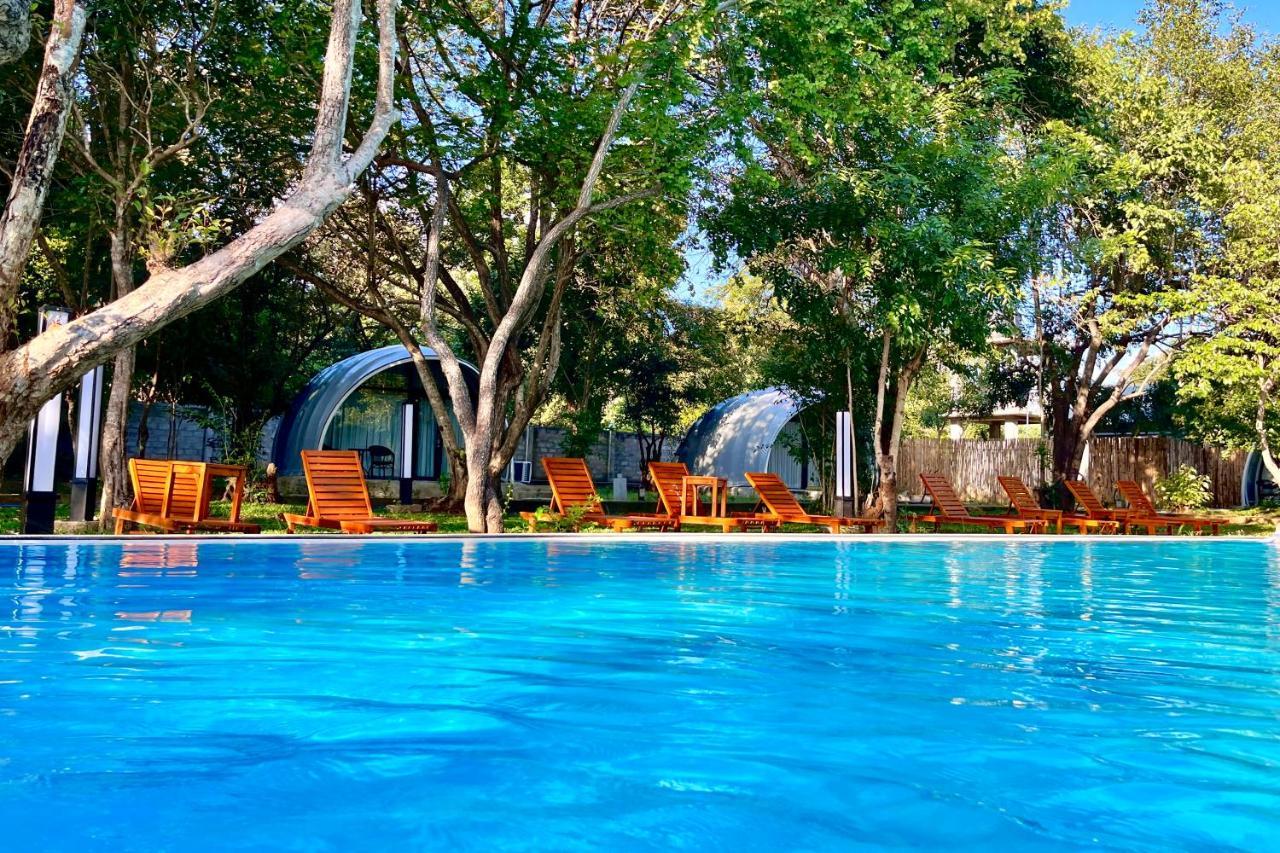 Nivadoo Resort Sigiriya Bagian luar foto The swimming pool at the resort