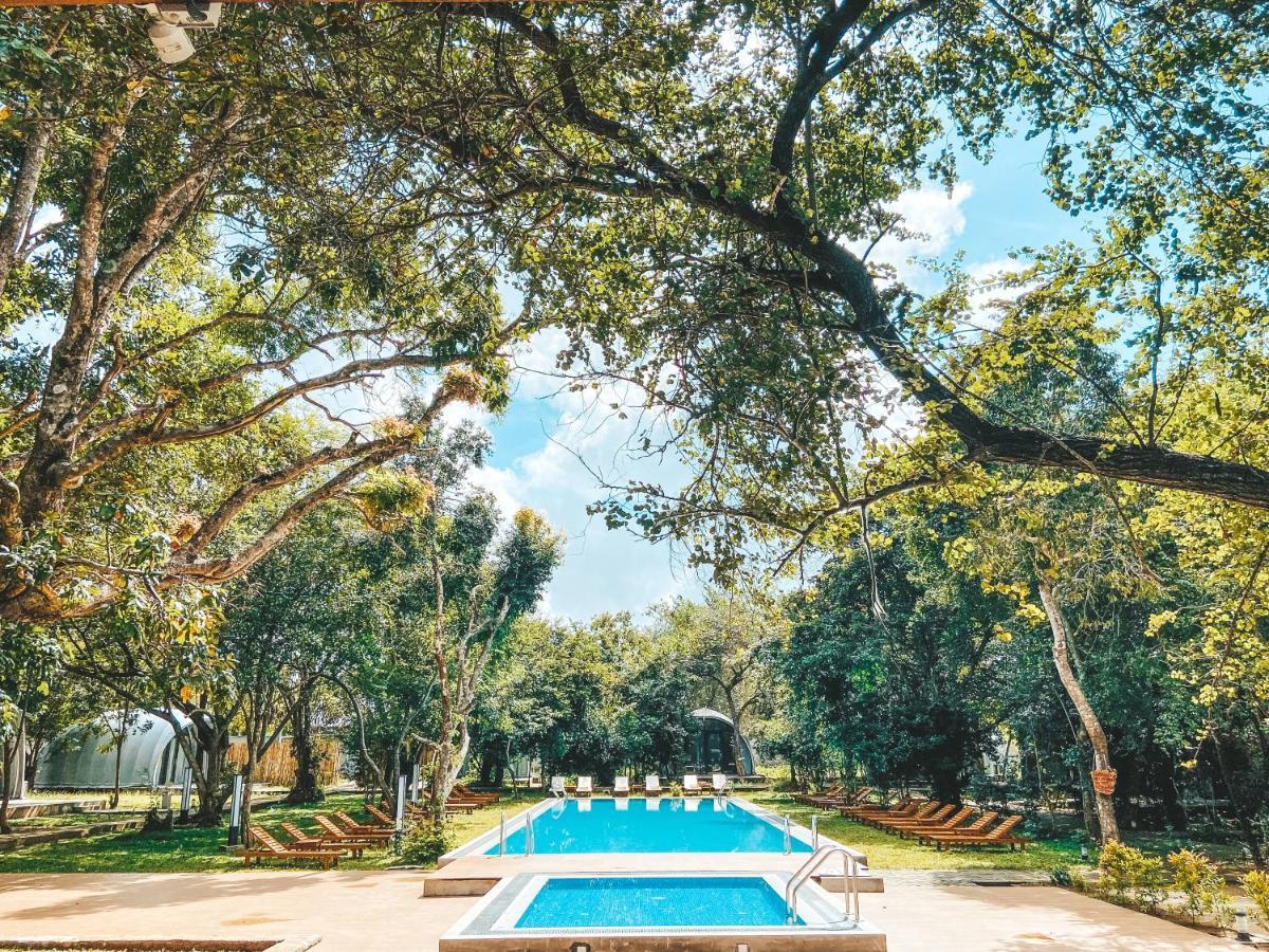 Nivadoo Resort Sigiriya Bagian luar foto The swimming pool at the hotel