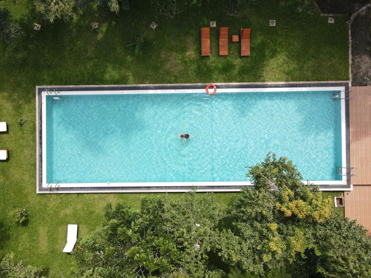 Nivadoo Resort Sigiriya Bagian luar foto Aerial view of a swimming pool